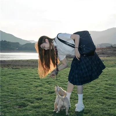 主播流浪记 海报